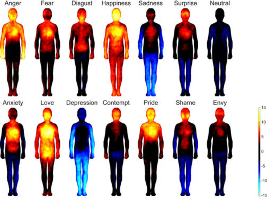 Mapas corporales de las emociones: cómo sentimos las emociones en nuestro cuerpo